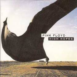 Pink Floyd : High Hopes